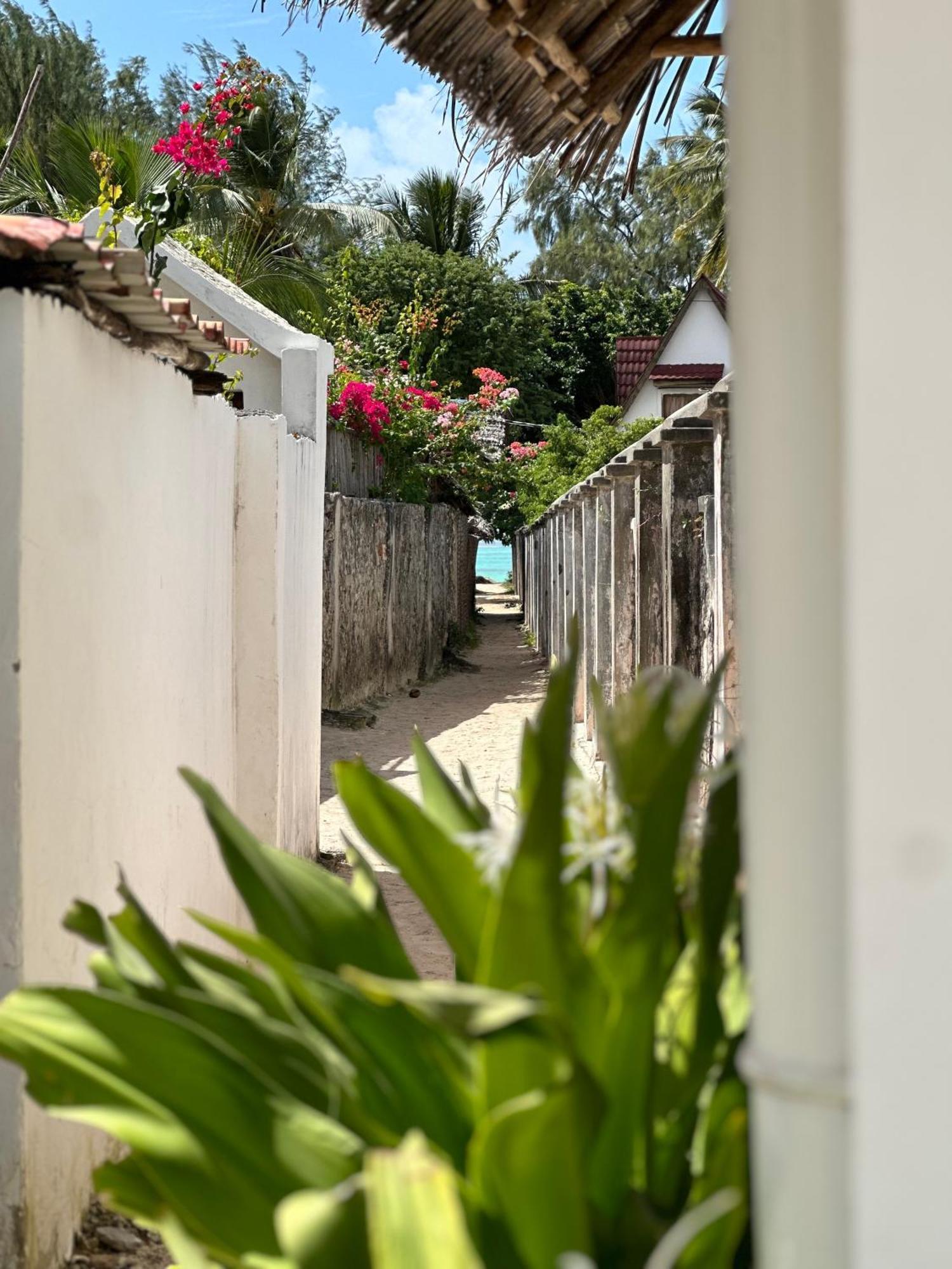 Mlango Paje Villa Boutique Buitenkant foto