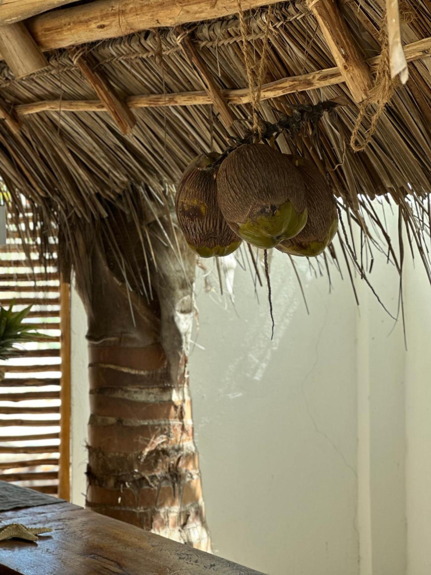 Mlango Paje Villa Boutique Buitenkant foto